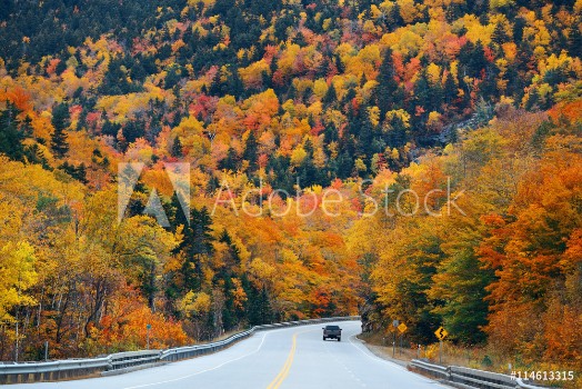 Picture of Highway and Autumn foliage